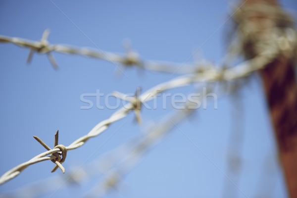barbed wire Stock photo © pedrosala