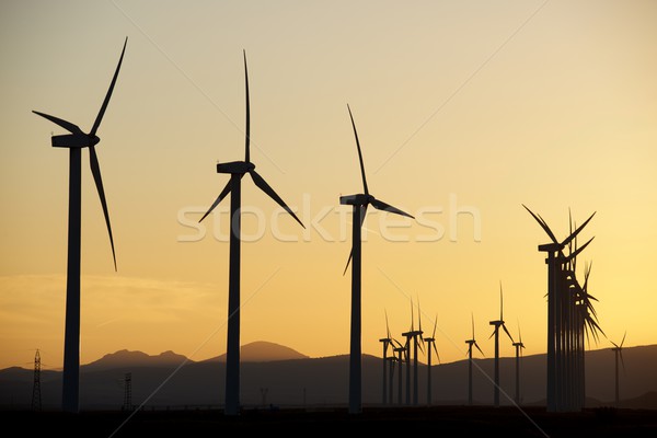 Rüzgâr enerji elektrik güç üretim gün batımı Stok fotoğraf © pedrosala