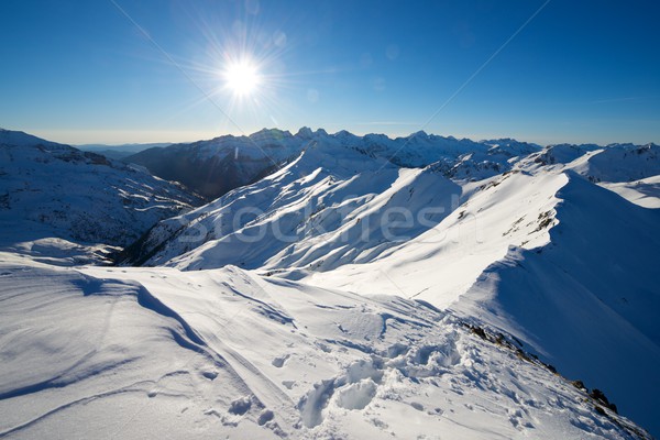 Pyrenees Stock photo © pedrosala