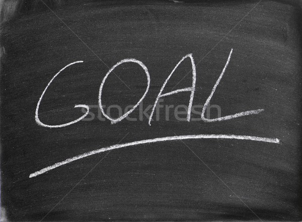 goal Stock photo © pedrosala