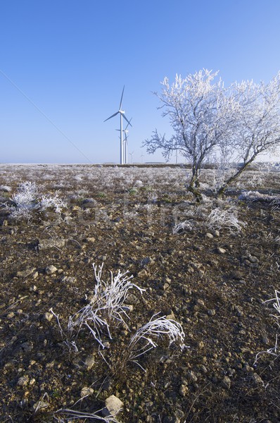 Zamrożone krajobraz niebo technologii śniegu niebieski Zdjęcia stock © pedrosala