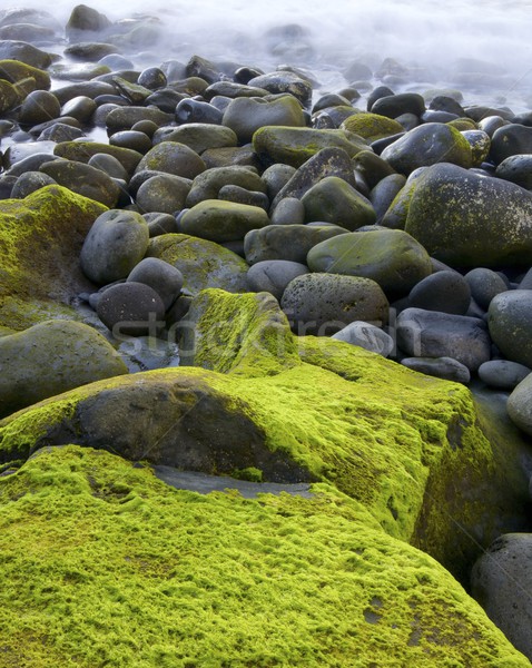 Ansicht Strand Portugal Textur Landschaft Stock foto © pedrosala