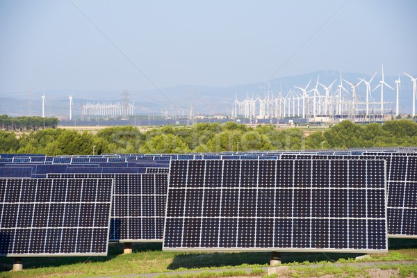 [[stock_photo]]: énergies · renouvelables · photovoltaïque · énergie · production · nature · technologie