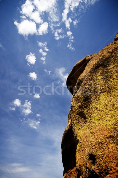 Mongolian landscape Stock photo © pedrosala