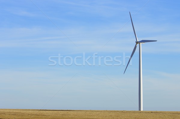 Stock photo: windmill