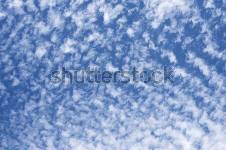 Fundo do céu alto céu pormenor nuvens Foto stock © pedrosala