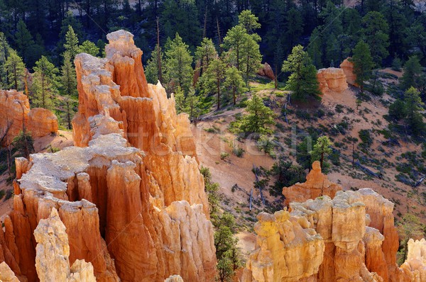 Bryce Canyon Stock photo © pedrosala