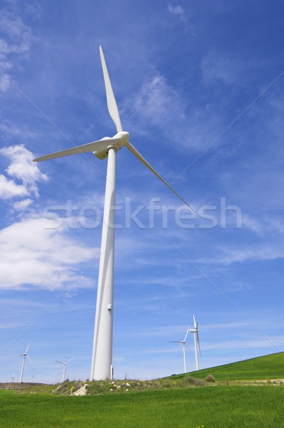 Wind energie groene weide blauwe hemel gras Stockfoto © pedrosala