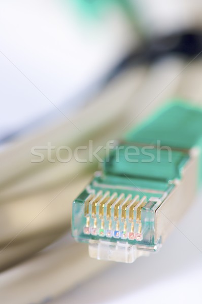 Network cable Stock photo © pedrosala