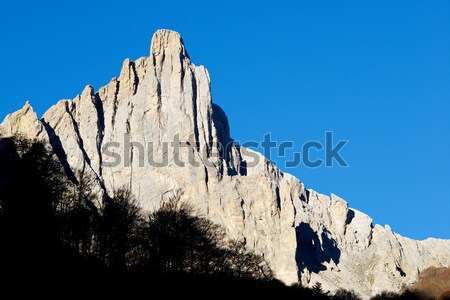 Pyrenees Stock photo © pedrosala