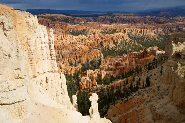 Bryce Canyon view Stock photo © pedrosala
