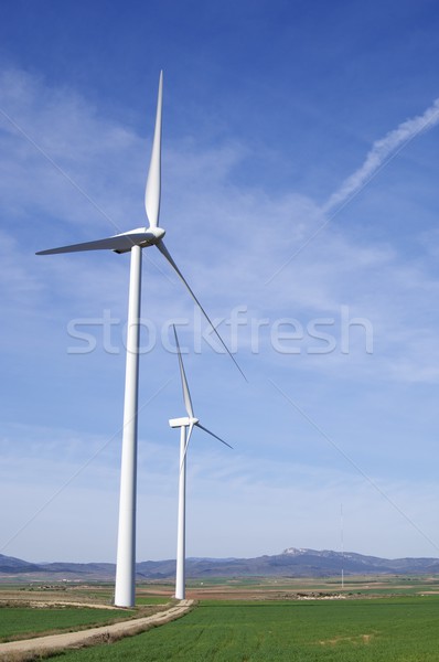 Kettő mező kék ég tájkép technológia zöld Stock fotó © pedrosala