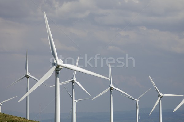 wind energy Stock photo © pedrosala