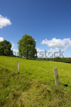 Normandy Stock photo © pedrosala