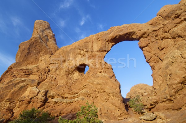 Park rock Utah Vereinigte Staaten Himmel Natur Stock foto © pedrosala