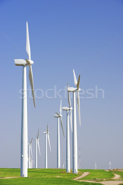 Szél energia elektromos erő gyártás zöld Stock fotó © pedrosala