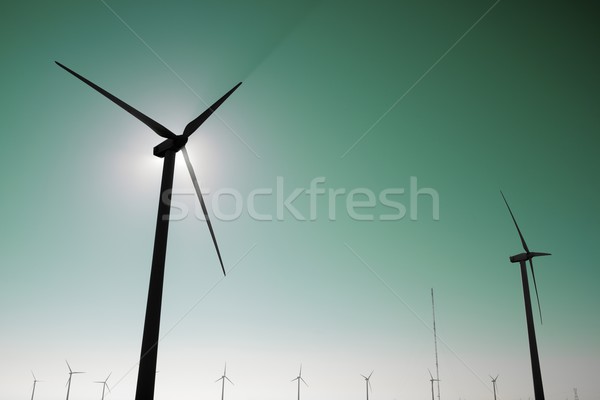 Wiatr energii elektryczne produkcji technologii Zdjęcia stock © pedrosala