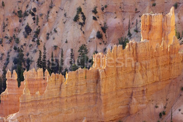 峡谷 針 公園 ユタ州 米国 自然 ストックフォト © pedrosala