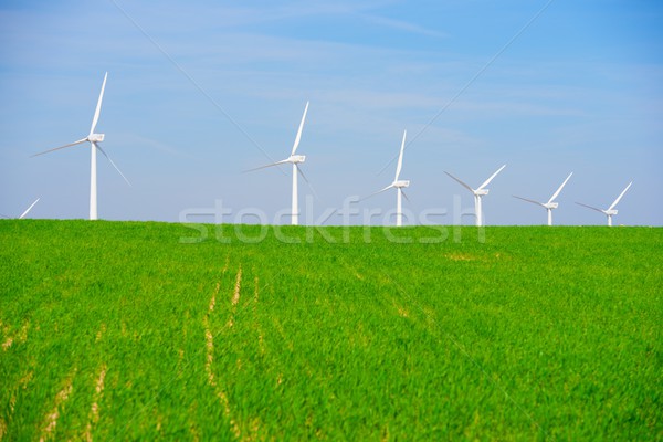 Vento energia elétrico poder produção fazenda Foto stock © pedrosala