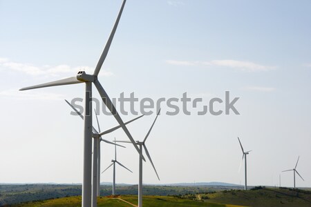 wind energy Stock photo © pedrosala