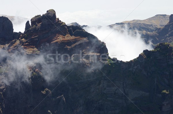 Madeira dombok köd sziget égbolt fa Stock fotó © pedrosala