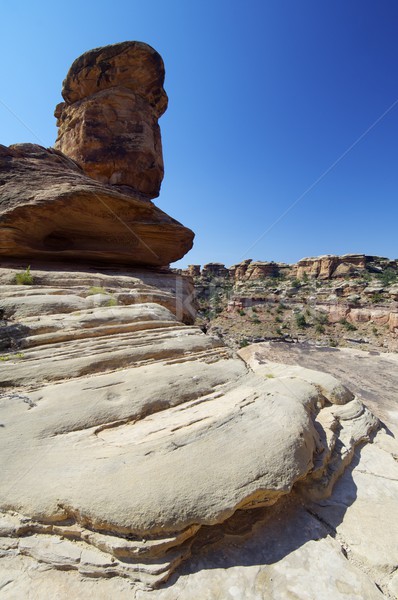 Canyonlands National Park Stock photo © pedrosala
