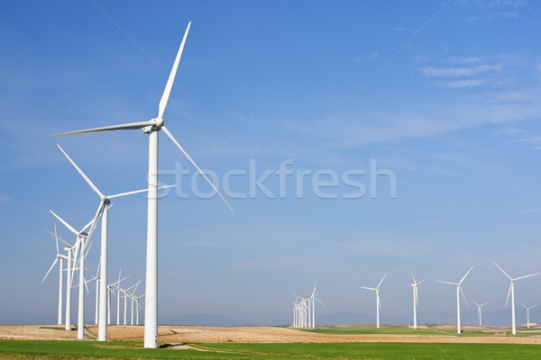 Vento energia elettrici potere produzione farm Foto d'archivio © pedrosala