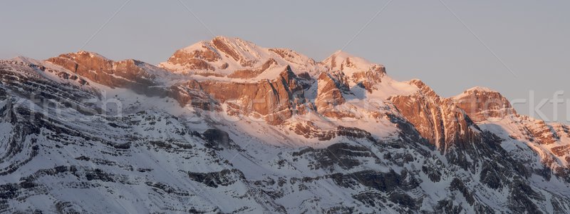 Panoramic winter Stock photo © pedrosala