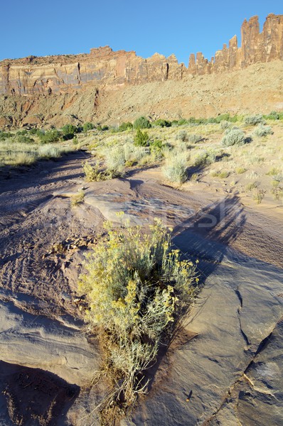 Indian torrente rupe Utah USA cielo Foto d'archivio © pedrosala