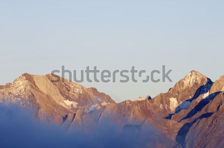 Pyrenees Stock photo © pedrosala