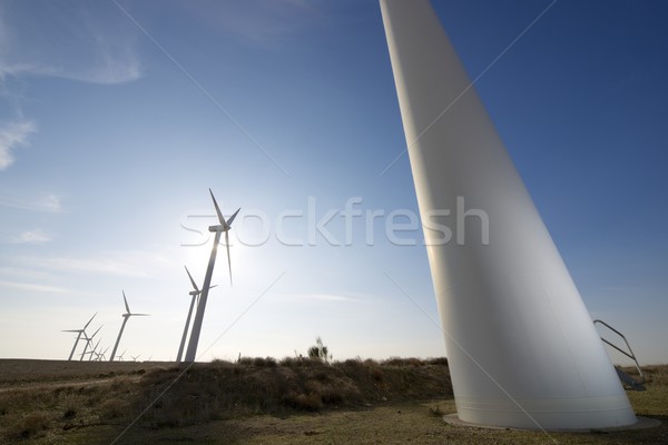Wind energie elektrische macht productie zonsondergang Stockfoto © pedrosala