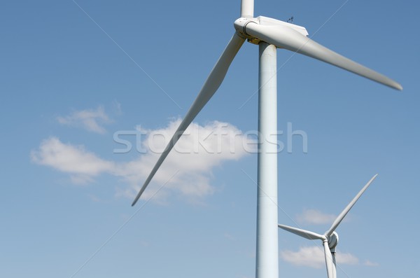 wind energy Stock photo © pedrosala