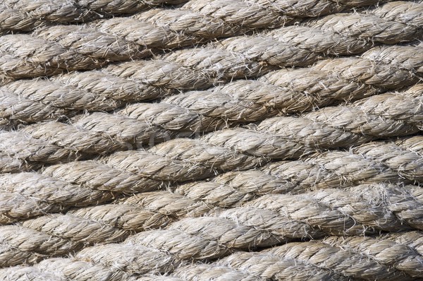rope rolled Stock photo © pedrosala