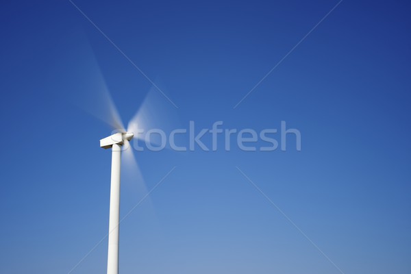 ветер энергии Windmill электрических власти производства Сток-фото © pedrosala