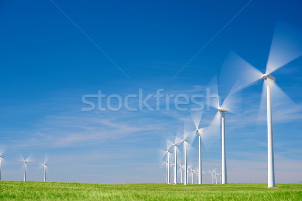 Wind energy Stock photo © pedrosala