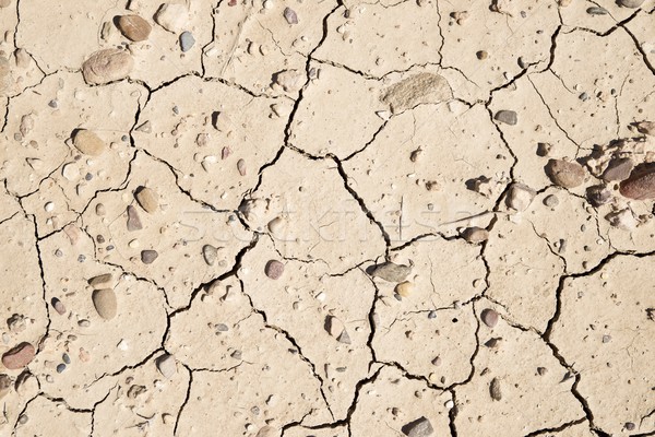засуха землю высокий разрешение земле мертвых Сток-фото © pedrosala