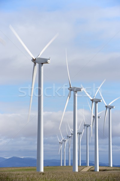 wind energy Stock photo © pedrosala
