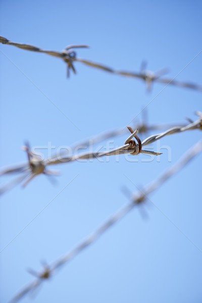 barbed wire Stock photo © pedrosala