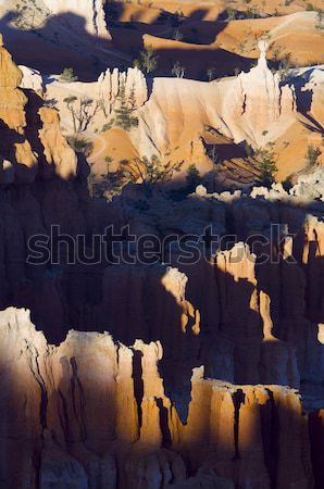 Stockfoto: Canyon · naalden · park · Utah · USA · landschap