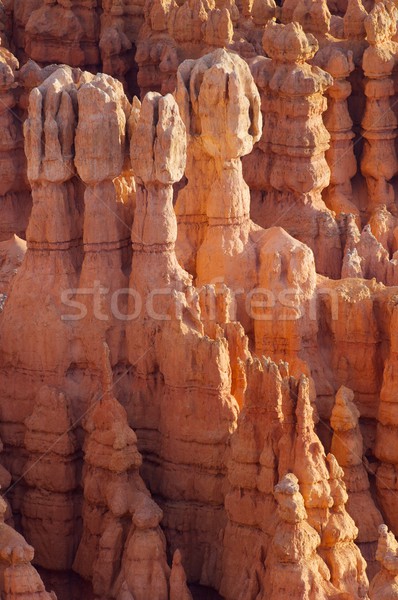 Bryce Canyon Stock photo © pedrosala