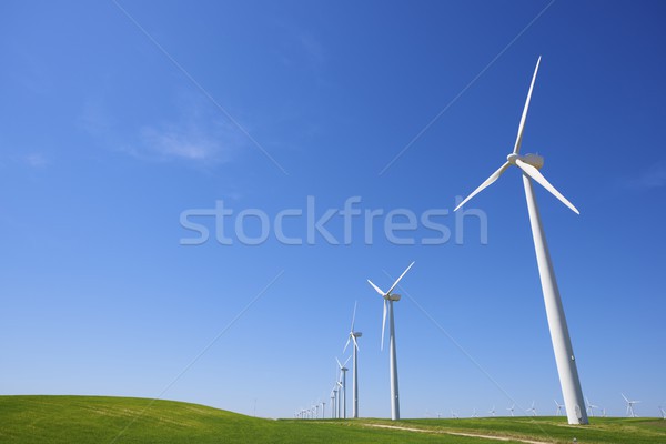 Wind energie elektrische macht productie gras Stockfoto © pedrosala