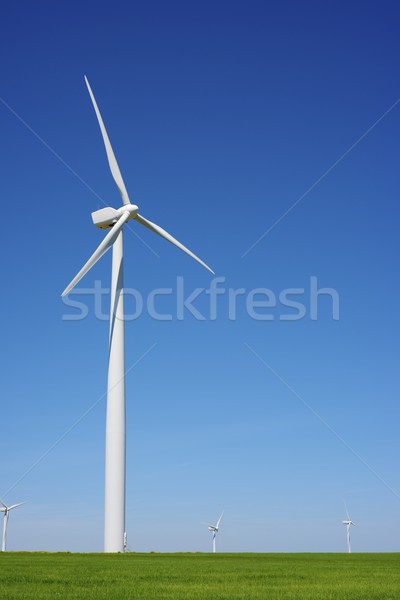 Vânt energie electric putere producere iarbă Imagine de stoc © pedrosala
