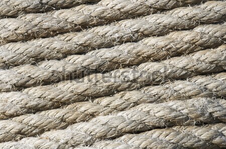 rope rolled Stock photo © pedrosala