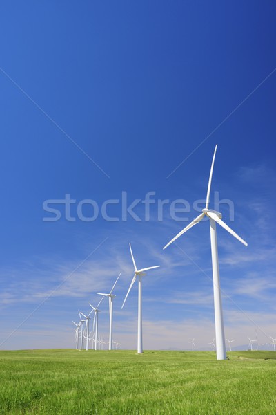 Szél energia elektromos erő gyártás farm Stock fotó © pedrosala