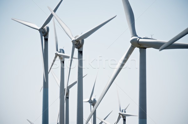wind turbines Stock photo © pedrosala