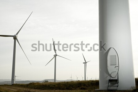 Szél energia elektromos erő gyártás naplemente Stock fotó © pedrosala
