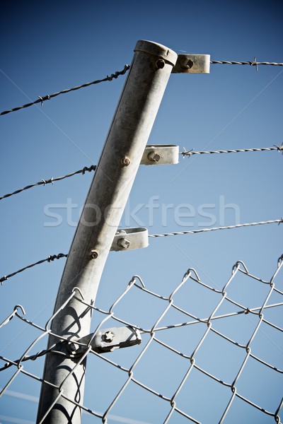 Barbed wire fence Stock photo © pedrosala