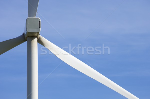 windmill Stock photo © pedrosala