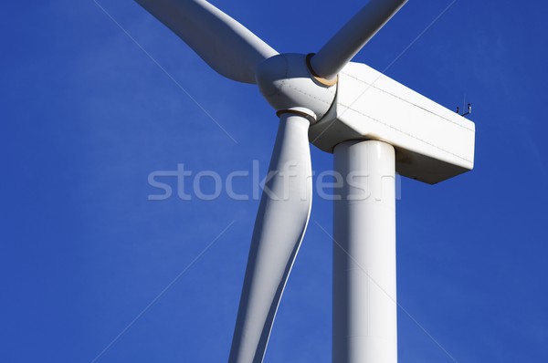 windmill Stock photo © pedrosala