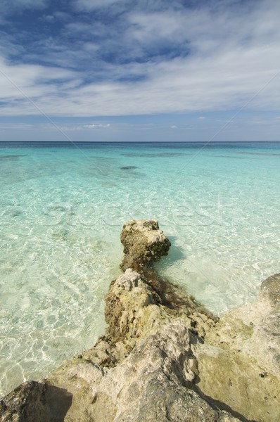 coral Beach in the Caribbean Stock photo © pedrosala